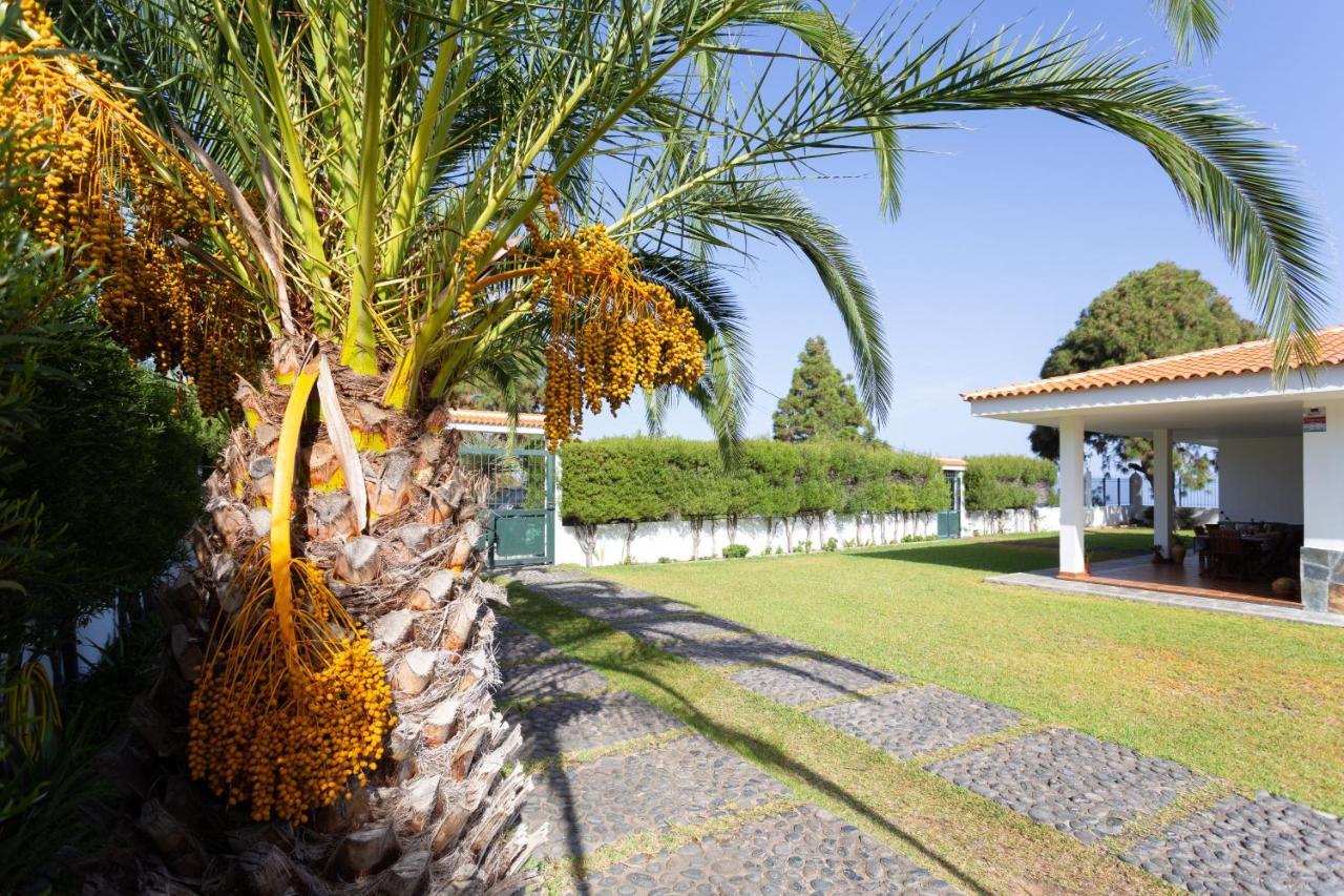 Finca La Vizcondesa Icod De Los Vinos Extérieur photo