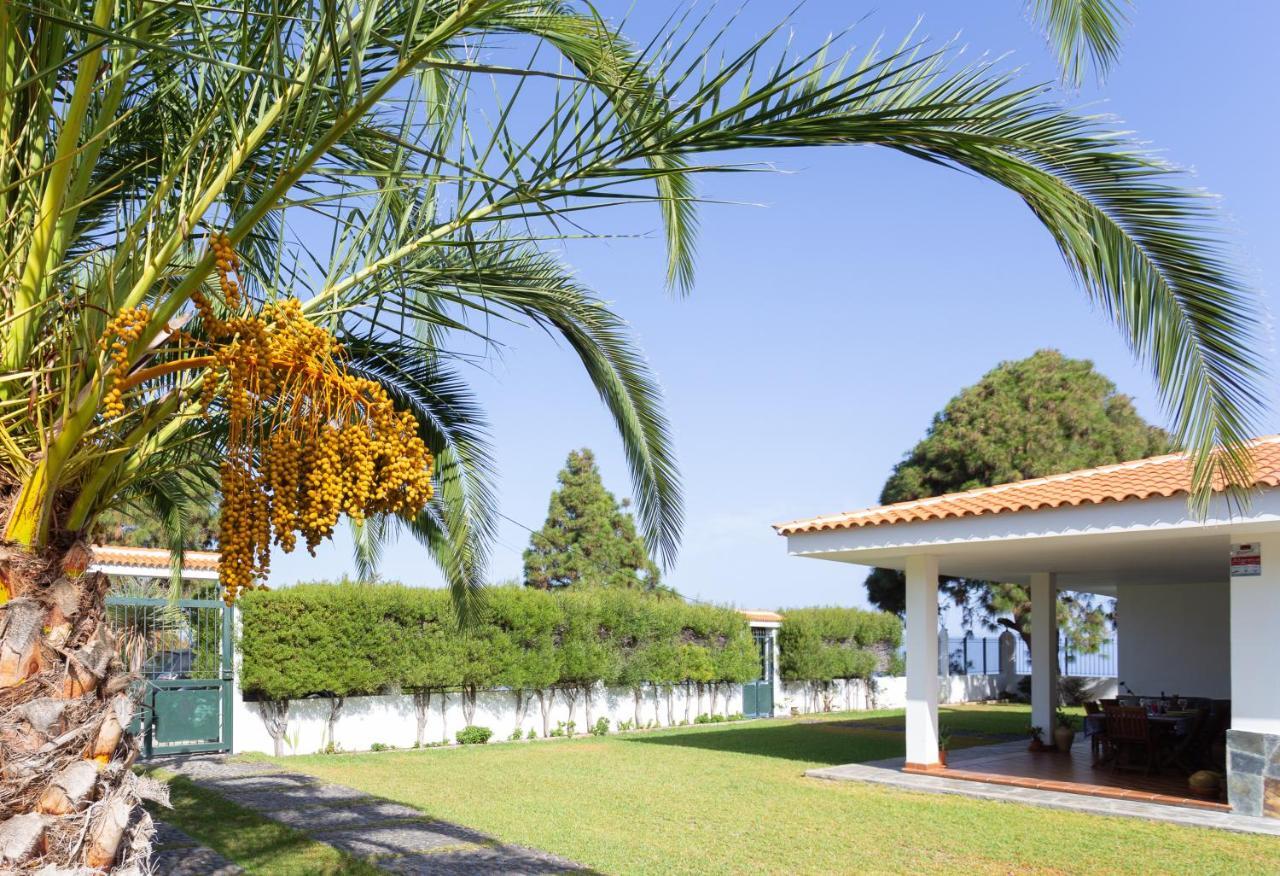 Finca La Vizcondesa Icod De Los Vinos Extérieur photo